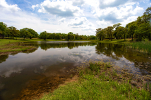 meadowview pond